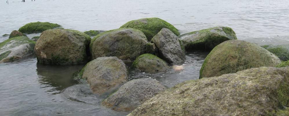 
            Фотография Астары