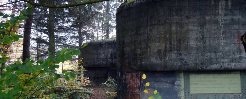 
            Фотография Тагервилена