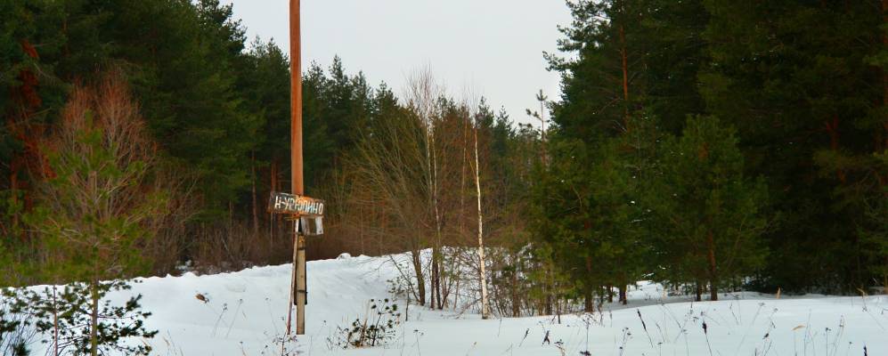 
            Фотография Роганихи