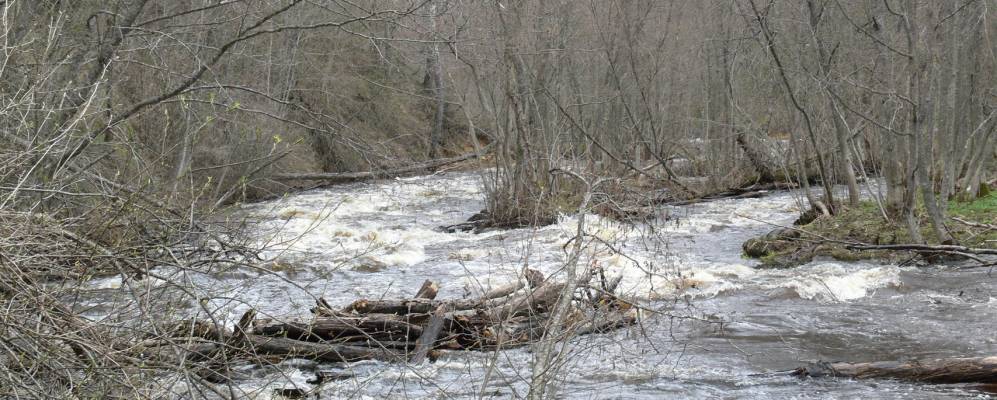 Фотография Поцепово