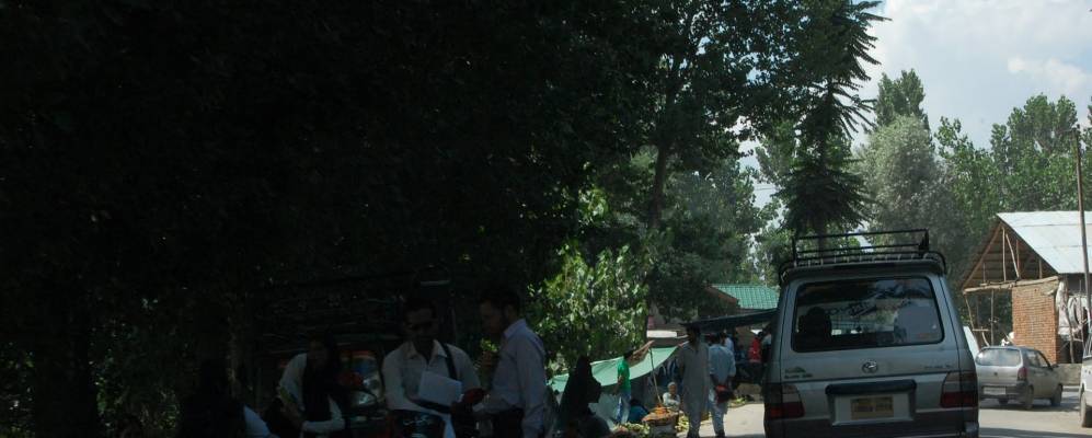 
            Фотография Сумбала