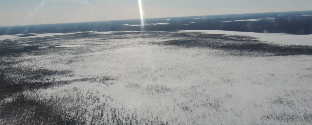 
            Фотография Житницино