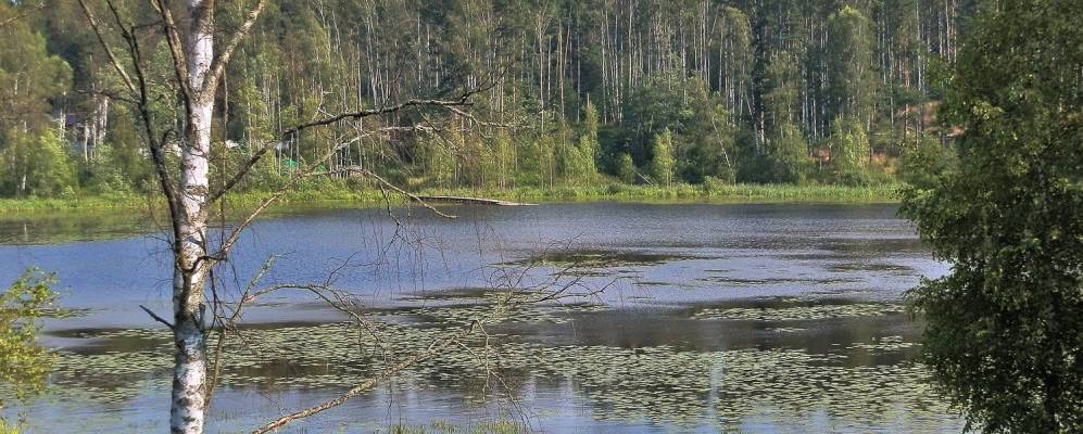 
            Фотография Кривко