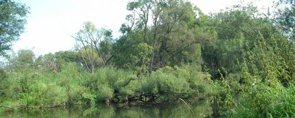 
            Фотография Хирино