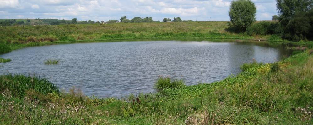 
            Фотография Лепченки