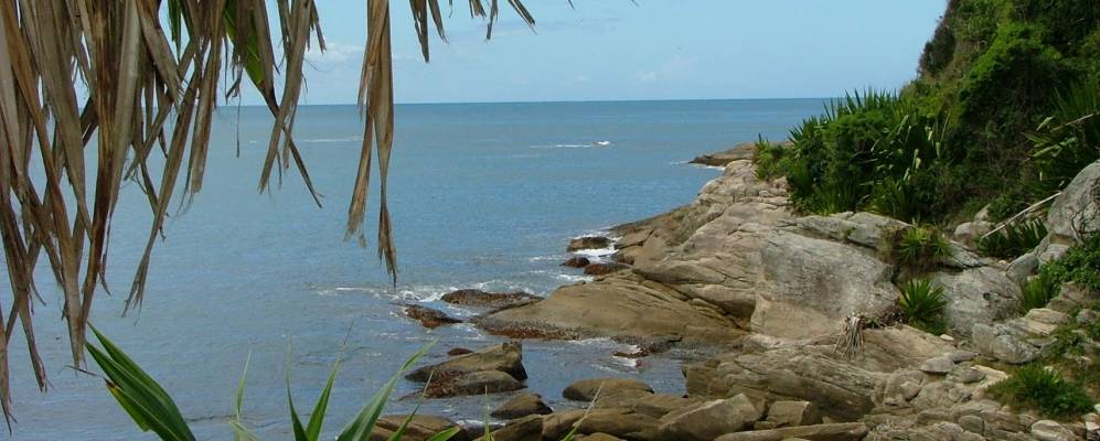 
            Фотография Бомбиньяс