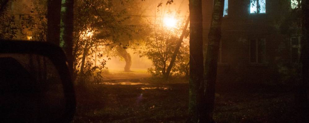 
            Фотография Подсосонков