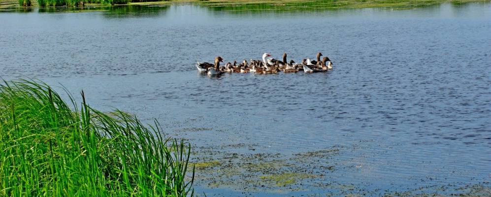 
            Фотография Подлесного