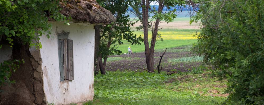 
            Фотография Светловщины