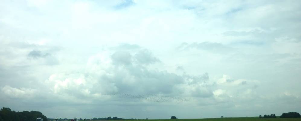 Фотография деревни Муховлоки