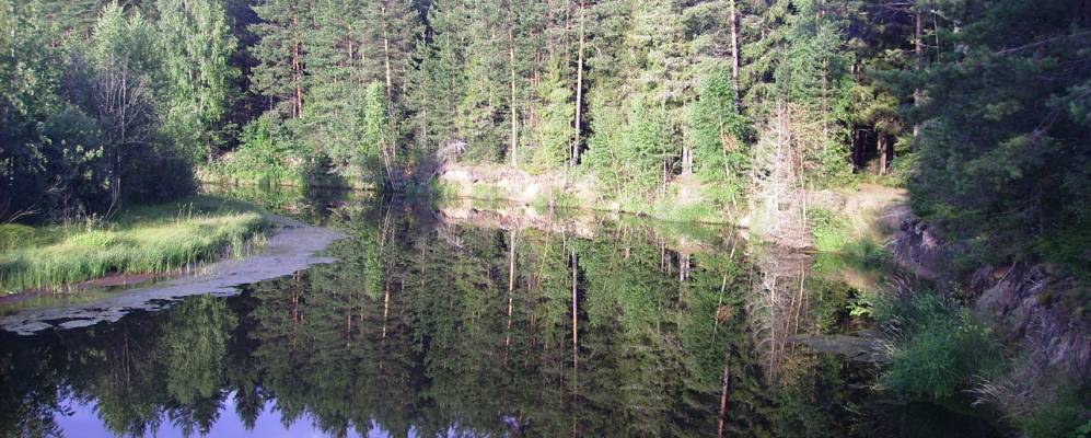 
            Фотография Коровино