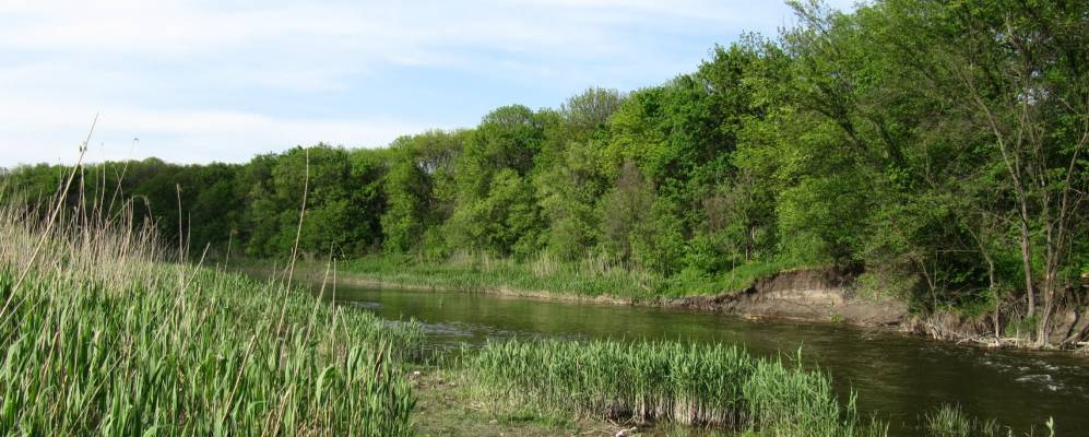 
            Фотография Приволчанского