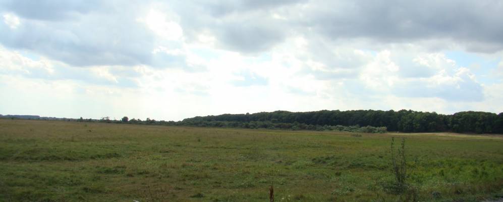 
            Фотография Тарасовки