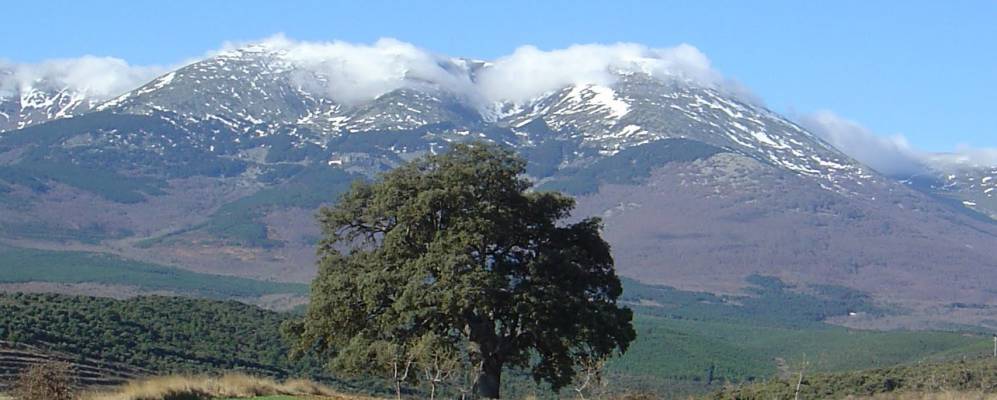 
            Фотография Lituénigo