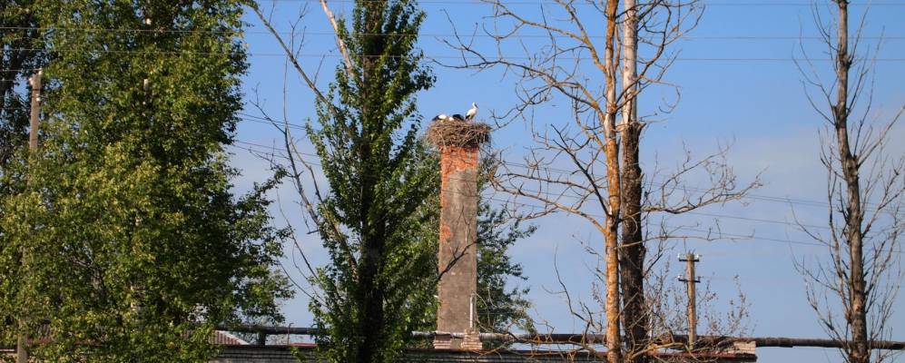 
            Фотография Рынделево