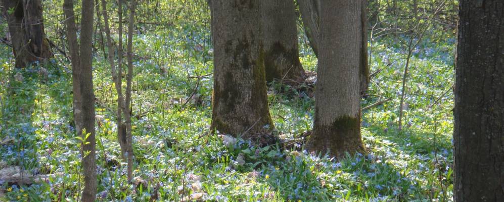 
            Фотография Покровки Первой