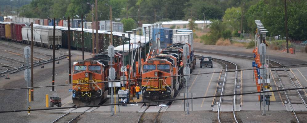 
            Фотография Белена