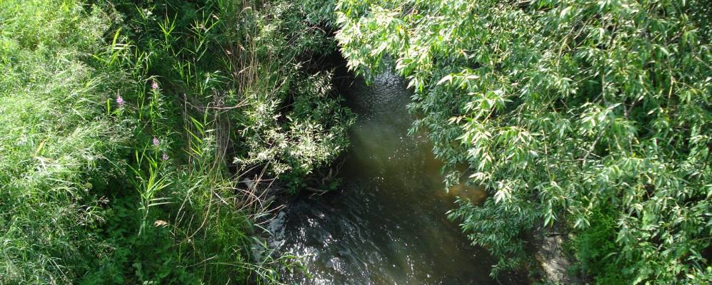 
            Фотография Максимовки