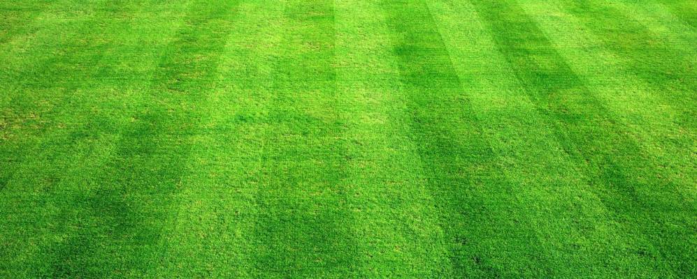 
            Фотография Стэнли