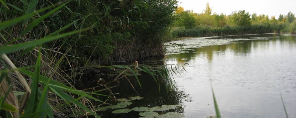 Фотография Камышино