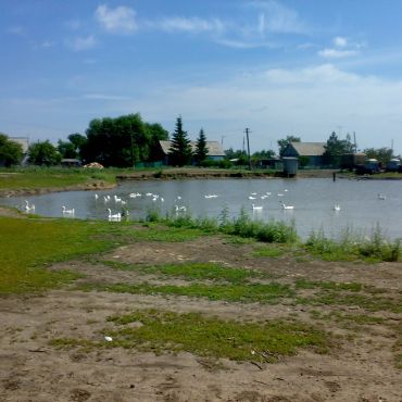 Первотаровка