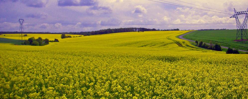 
            Фотография Монамиза