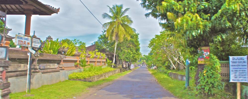 
            Фотография Кедири