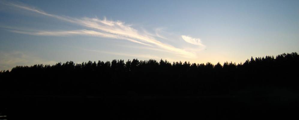 
            Фотография Узмени