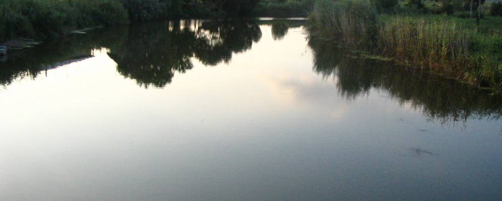 
            Фотография Урывского