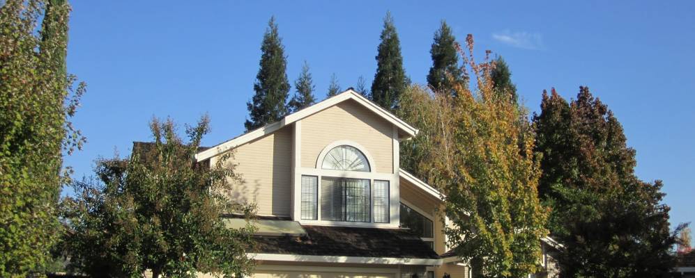 
            Фотография Голд Ривера