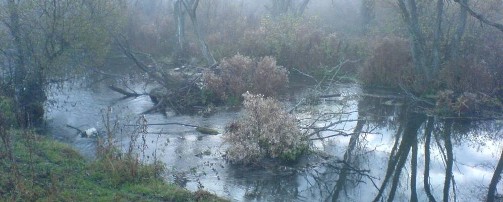 Фотография Весёлой Ивановки