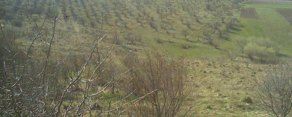 
            Фотография Нетечинцы