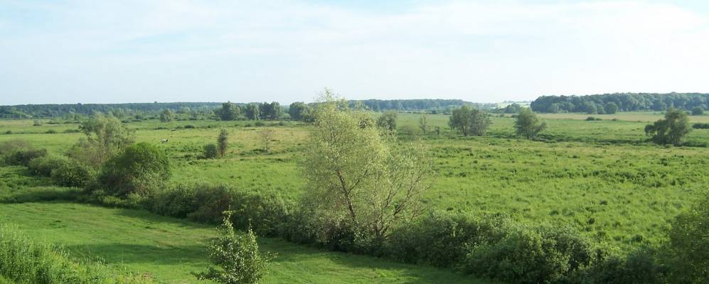 Фотография Ничипоровки