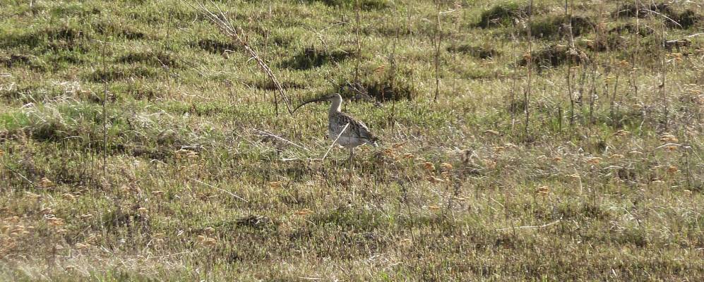 
            Фотография Двуречного
