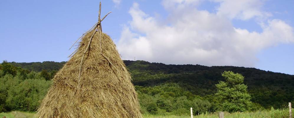 
            Фотография Русского Мочара