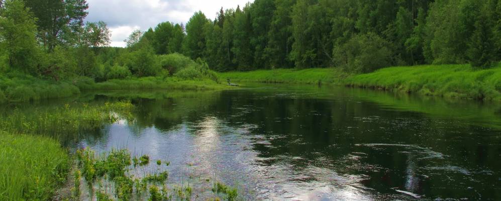 Фотография урочища Петрушина