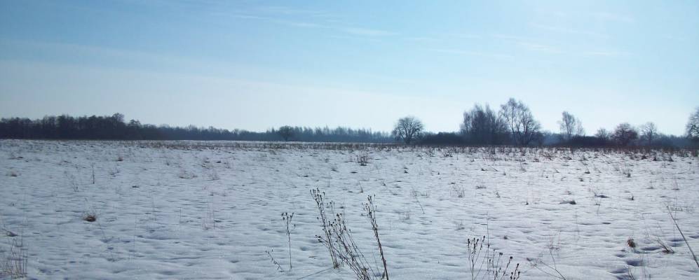 
            Фотография Высокого