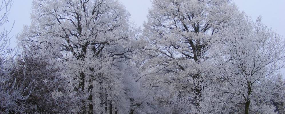 
            Фотография Хеемсена