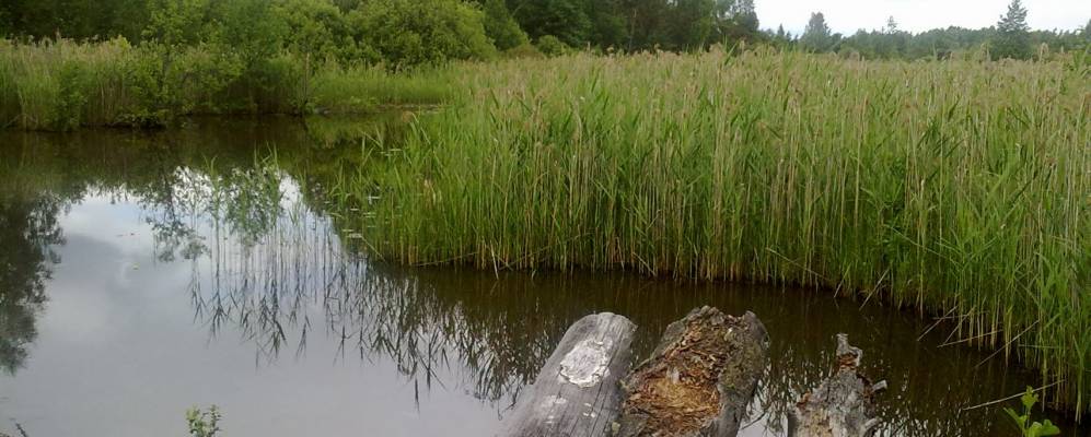 
            Фотография Бараново