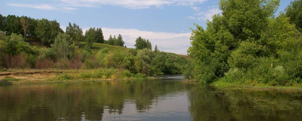 
            Фотография Ишутино
