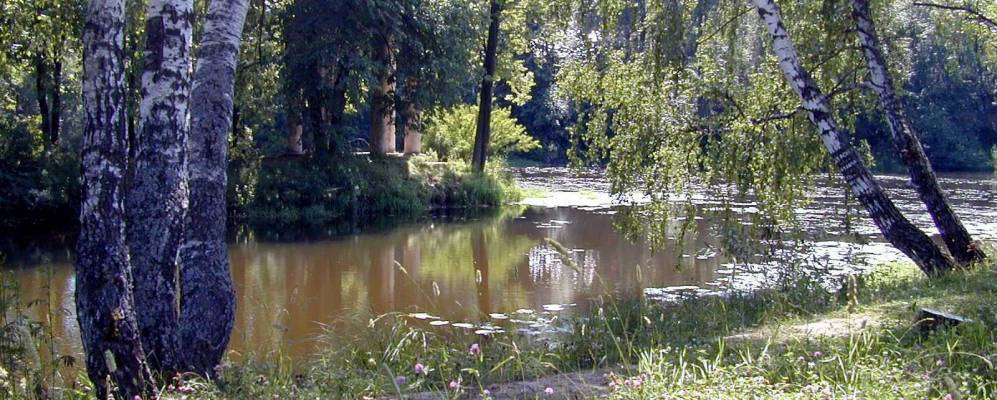 
            Фотография Ботаково