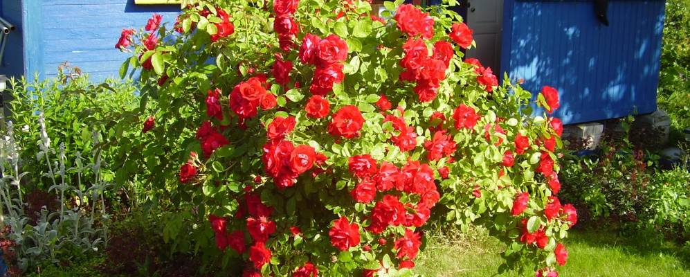 
            Фотография Молостово