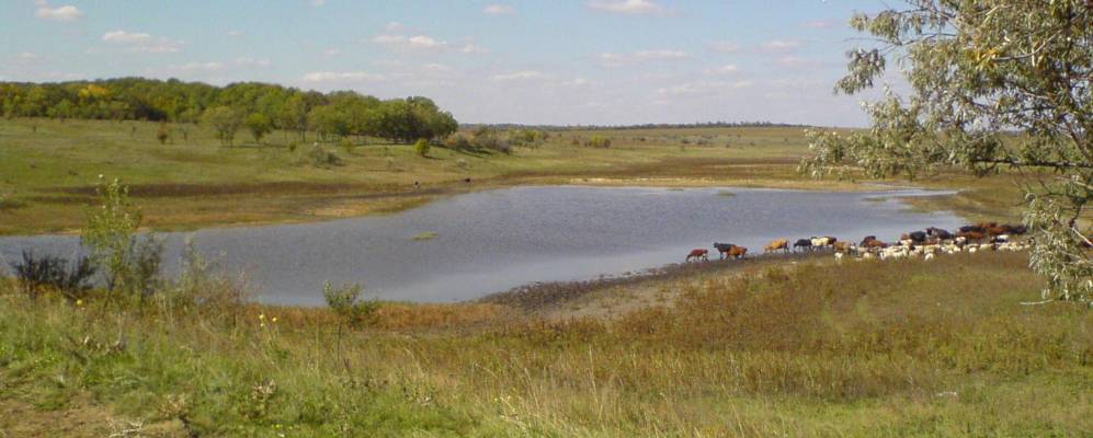 
            Фотография Чауса