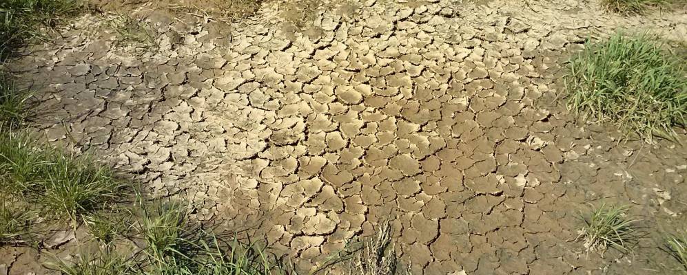 Фотография деревни Шабуньки