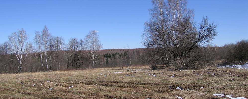 
            Фотография Ивановского