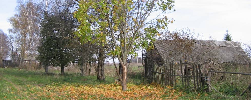 
            Фотография деревни Шпунты