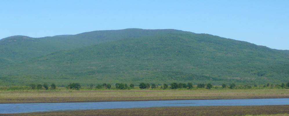 Фотография Чирок