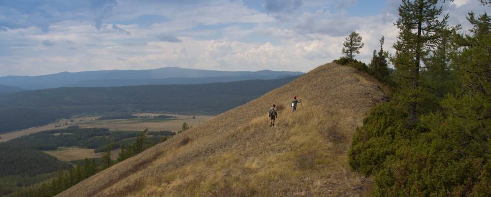 
            Фотография Рощи