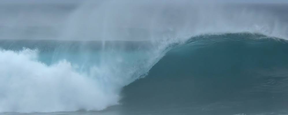 
            Фотография Папукеы