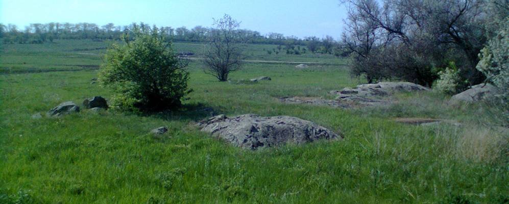 
            Фотография Веселой Федоровки